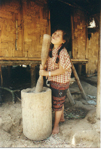 GiaChay.jpg (46080 bytes)